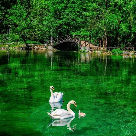 Bingo Mall Luxury Ilidza